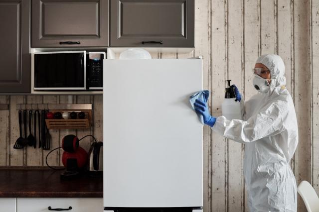A Guide to Keeping Mould Out Of Your Property